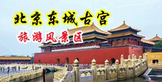 免费观看美女自慰的网站上中国北京-东城古宫旅游风景区